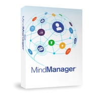 MindManager 22 Professional (1 User - perpetual) WIN ESD