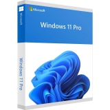 Microsoft Windows 11 Professional (Retail)